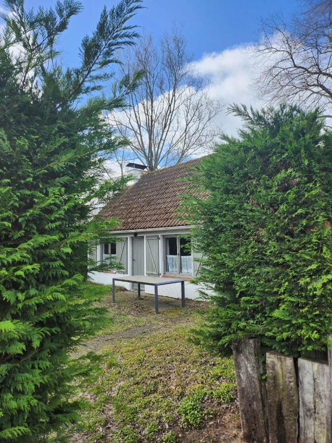 科克赛德Maison Sunpark Oostduinkerk 550别墅 外观 照片