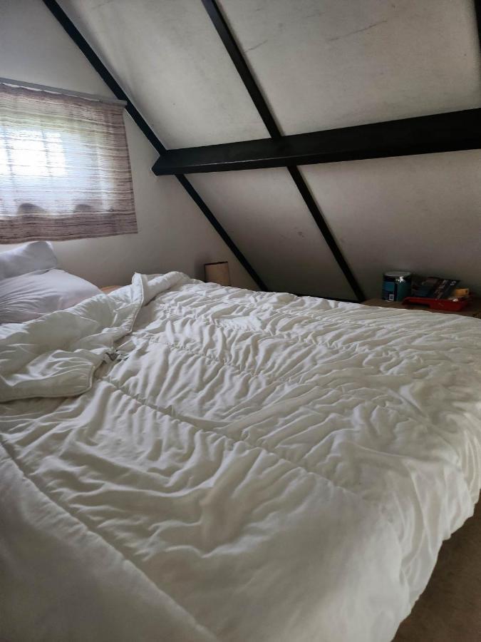 科克赛德Maison Sunpark Oostduinkerk 550别墅 外观 照片